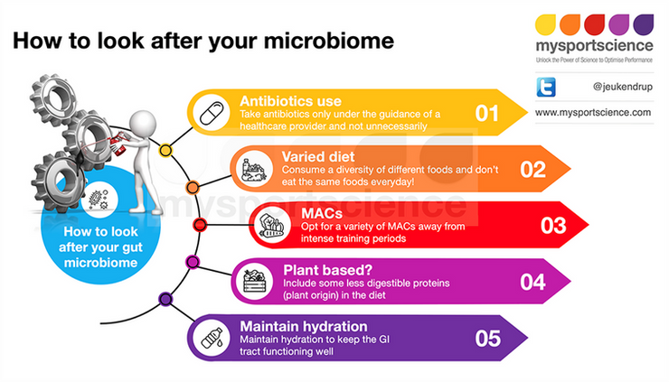 How to look after your microbiome