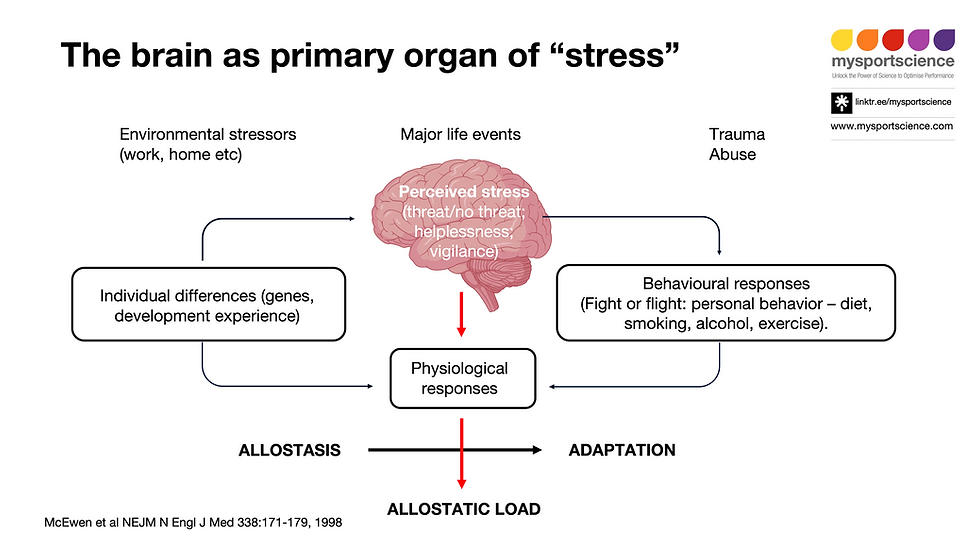 The brain as primary organ of stress infographic