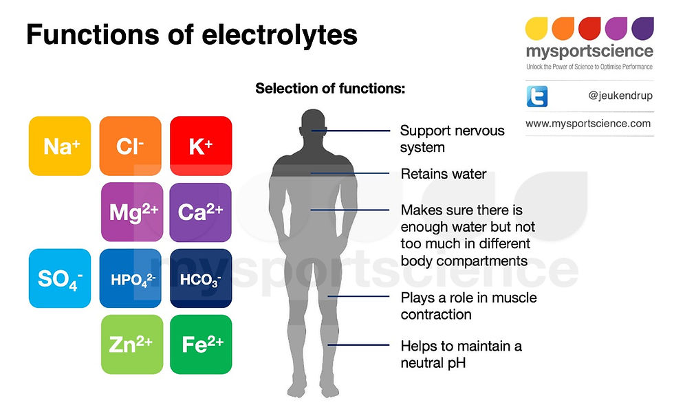Function of electrolytes infographic