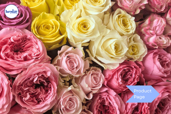 Fresh Colombian Roses Collage