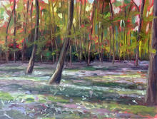 Bluebell Wood, Audley End 