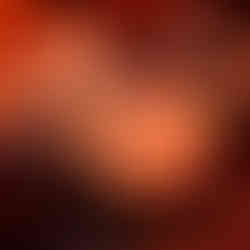 Pizza five‑blossom bread