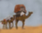 Screenshot_2024-04-03_at_2.49.39 pm.jpg