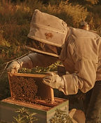 She Spends Her Days With Bees, But Can’t Hear Them Buzz.jpg
