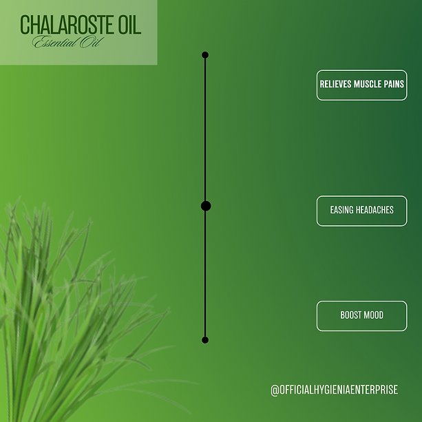Green Minimalist Elegant Luxury Timeline Process Fashion Instagram Post (5).png