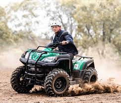Eco Charger Eliminator