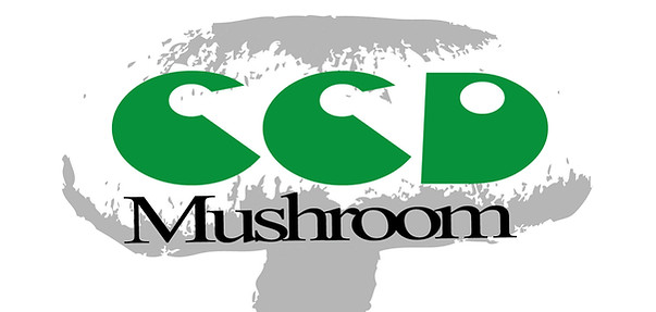 LOGO.jpg