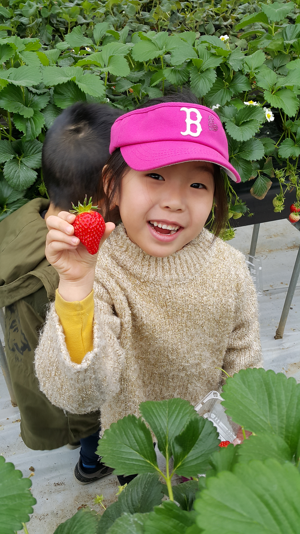 2015-03-31 10.53.29_edited.jpg