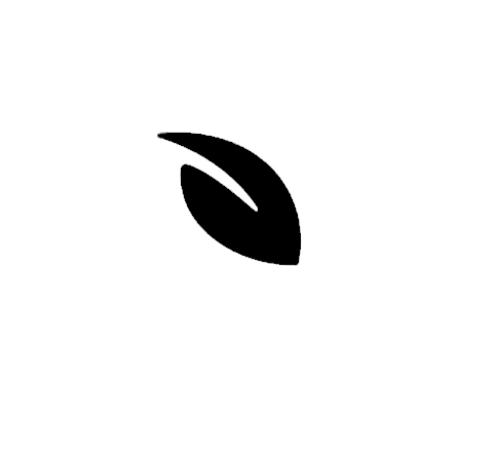 NOVEL LEAF LIMITED LOGO 1.png