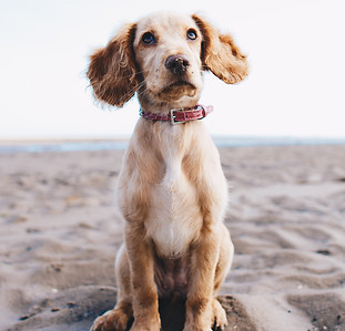 ryan-walton-367436-unsplash.jpg
