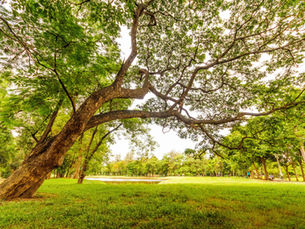 Rome Beyond the Colosseum: 10 Hidden Gems and Things to Do Outside Rome City Center 🏛️🌿