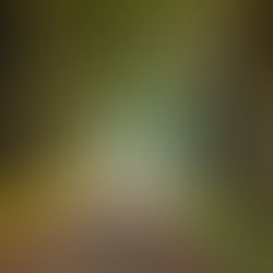 Votre séjour tranquille près de Rome : découvrez la paix à deux pas de la capitale