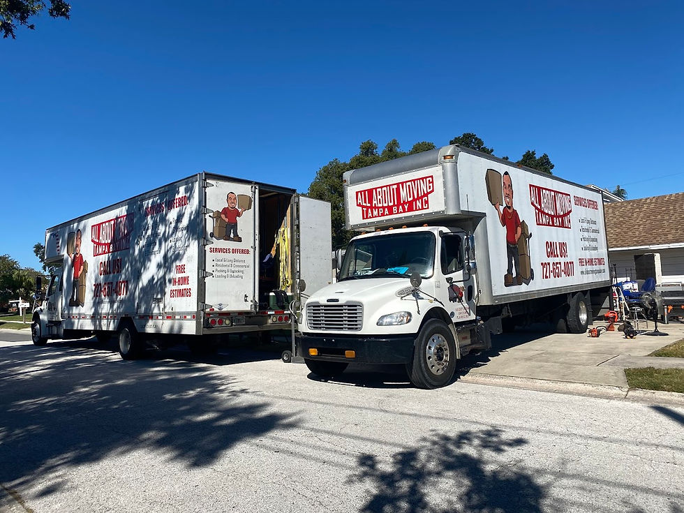 Moving to Clearwater, Florida: What You Should Know