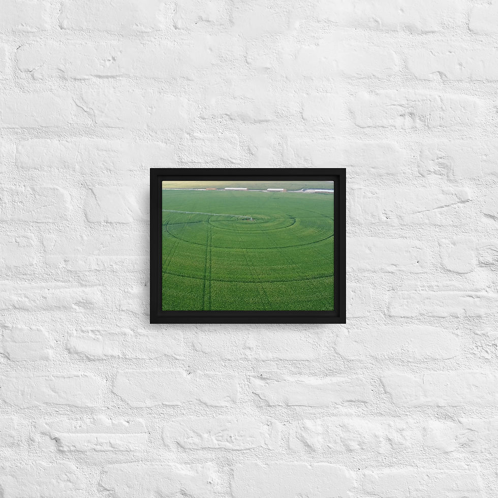 Thumbnail: Framed canvas (Can be photo of your project upon request)