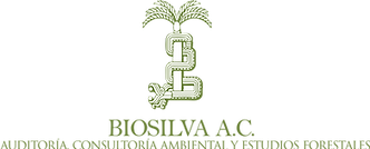 logo.vectorizado.pnngweb.png