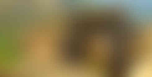 Nasudake 那須岳 View of Mount Chausu 茶臼岳 from Mount Asahi 朝日岳