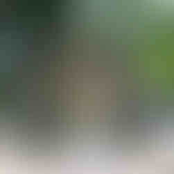 Chinese horoscopes statue on Oyama 十二生肖 大山 神奈川