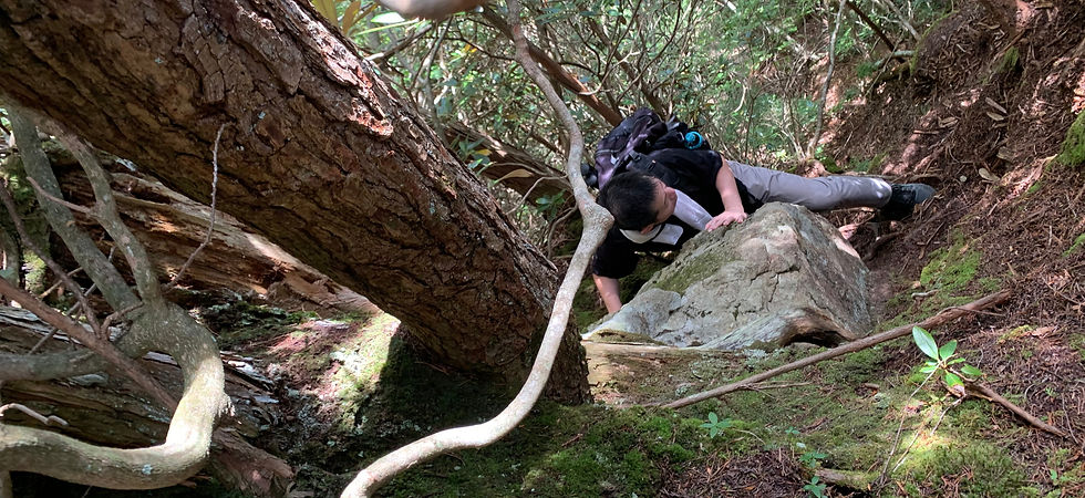 steep trail and rock scrambling on mount tosaka tosakayama