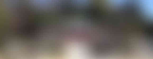 Ashikaga Orihime-jinja Shrine 足利織姫神社