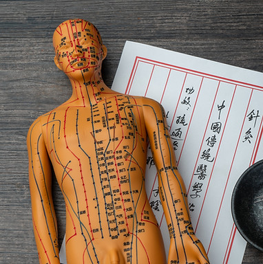 acupuncture-models-medical-books-are-table-acupuncture-is-traditional-chinese-medical-meth