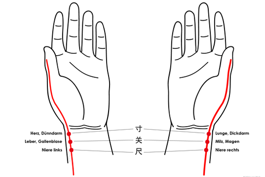 Pulspunkte.png