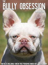 Screenshot 2025-02-10 at 11.58.13 AM.png