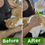 Thumbnail: [2In1] Dog Self-Cleaning Brush Set, Professional Shedding Hair Remover with a Ma