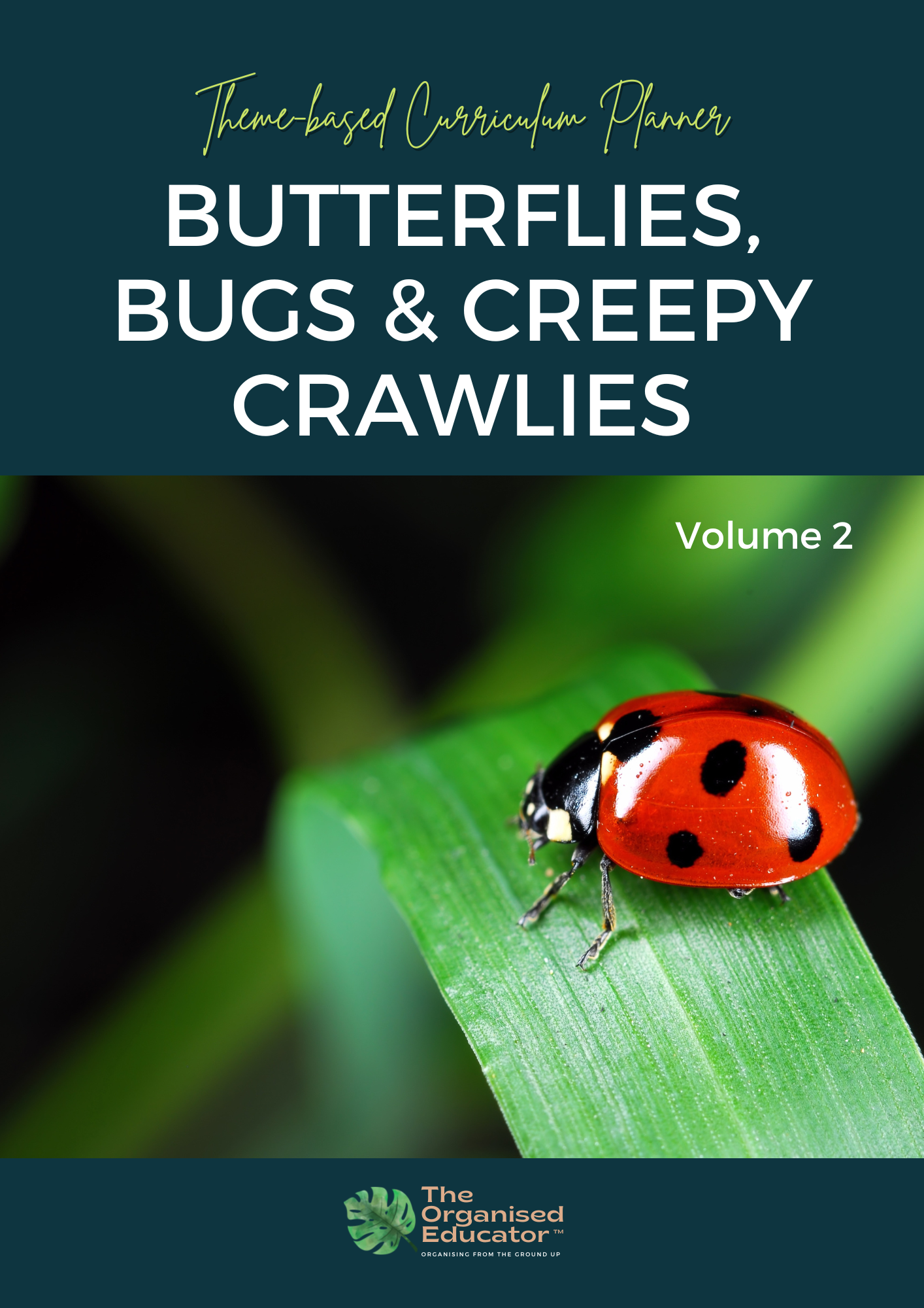 Butterflies, Bugs & Creepy Crawlies - Volume 2