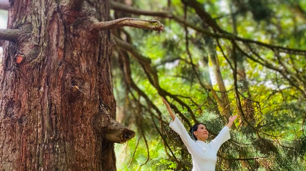 FREE Online Spiral Flow Class