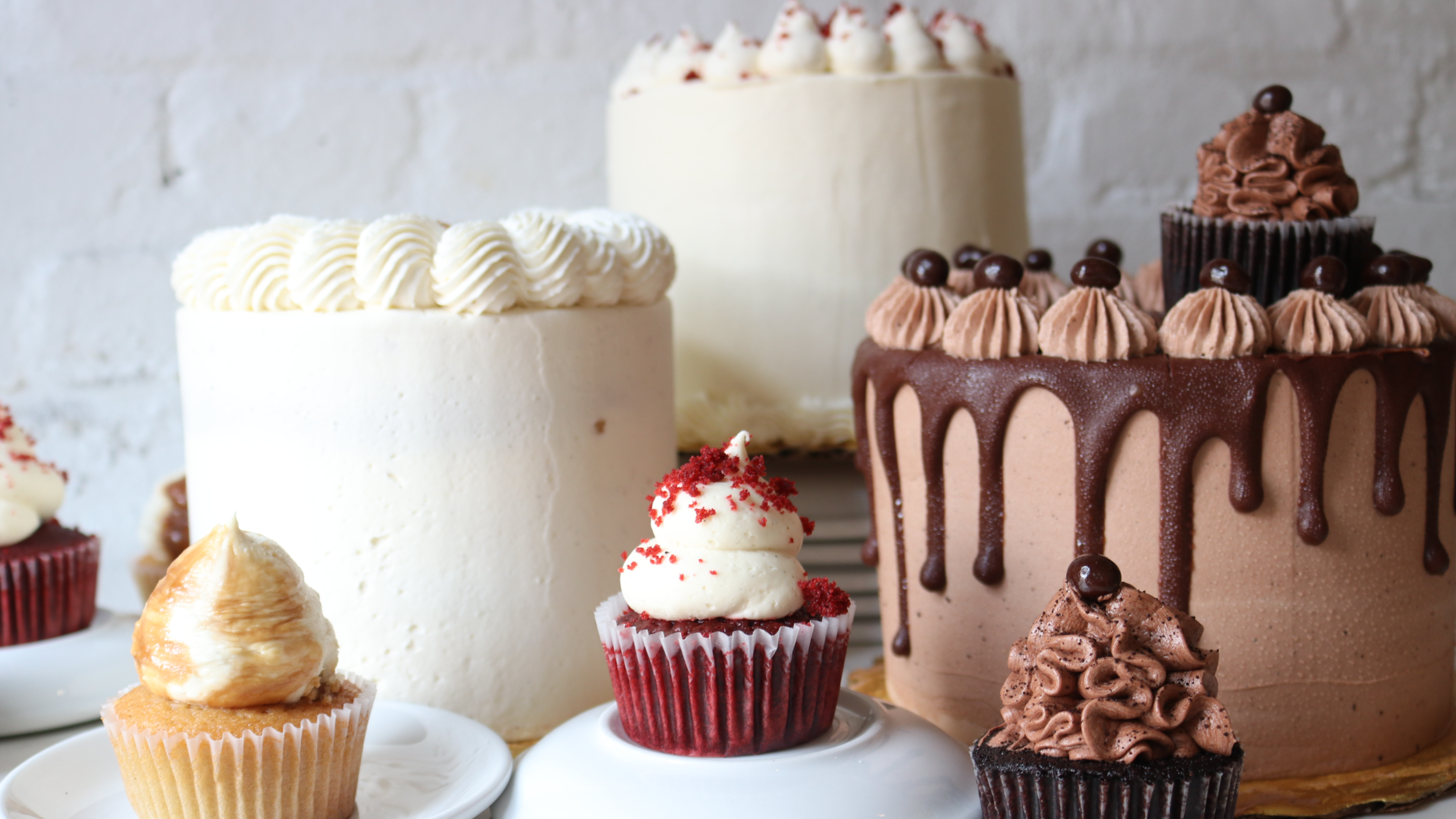 Arranged Food and Objects