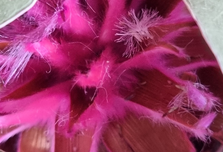 20230524_191339.jpg