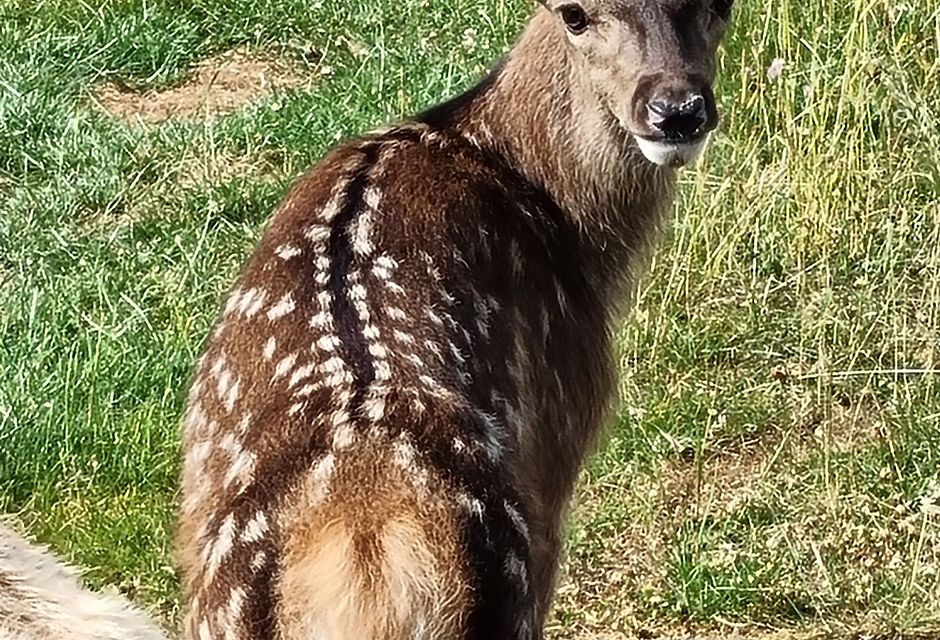 20230620_174602.jpg