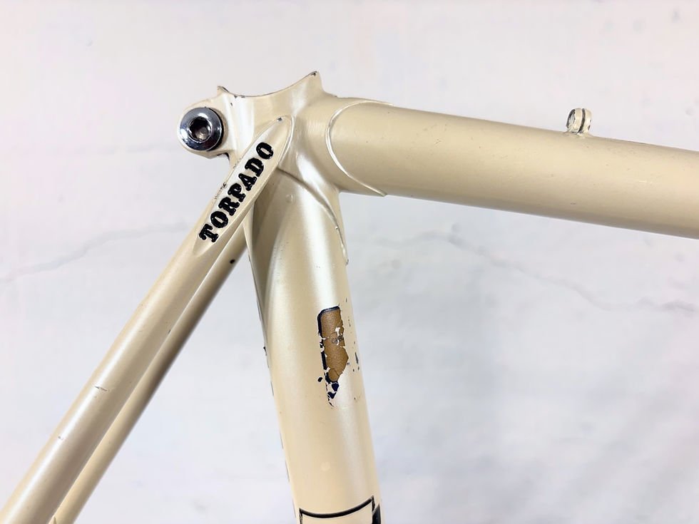 Thumbnail: Torpado Super Strada