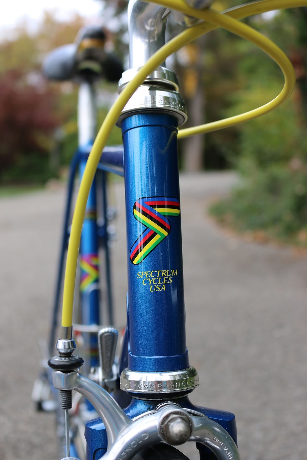 1983 Spectrum by Tom Kellogg Campagnolo Super Record
