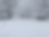 Winter Wonderland