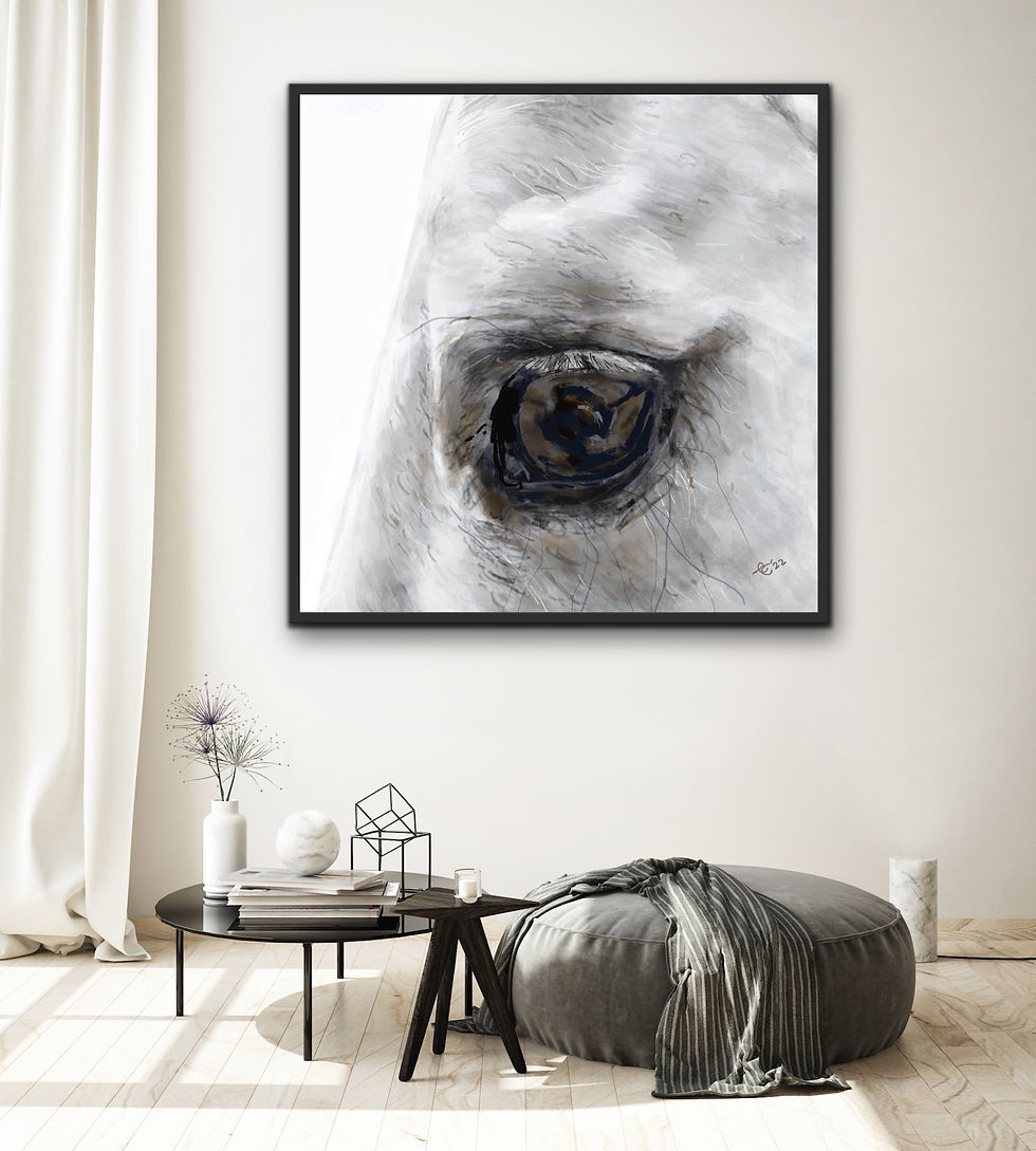 Square Art print-Close up of gray horse, limited edition.