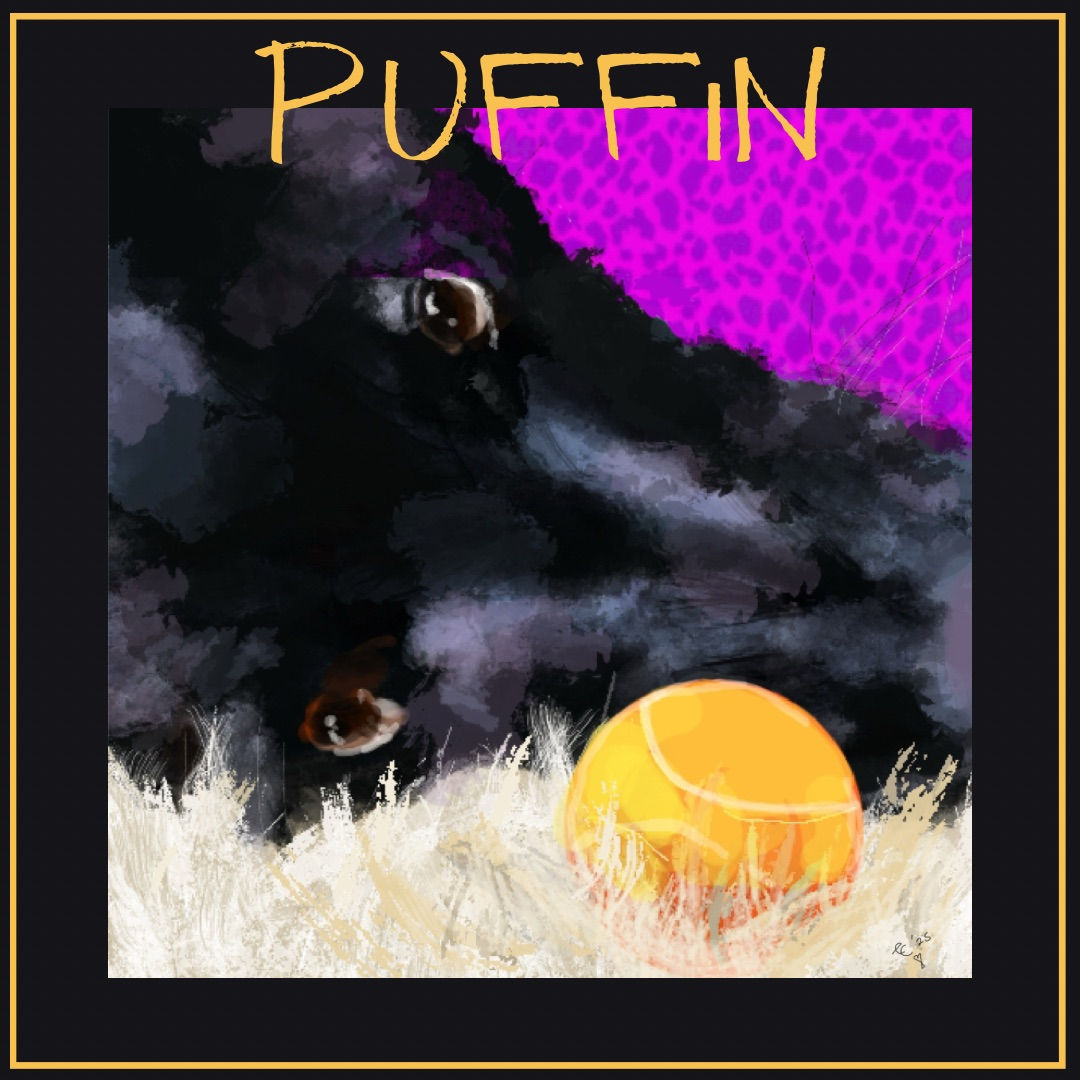 PUFFIN,
