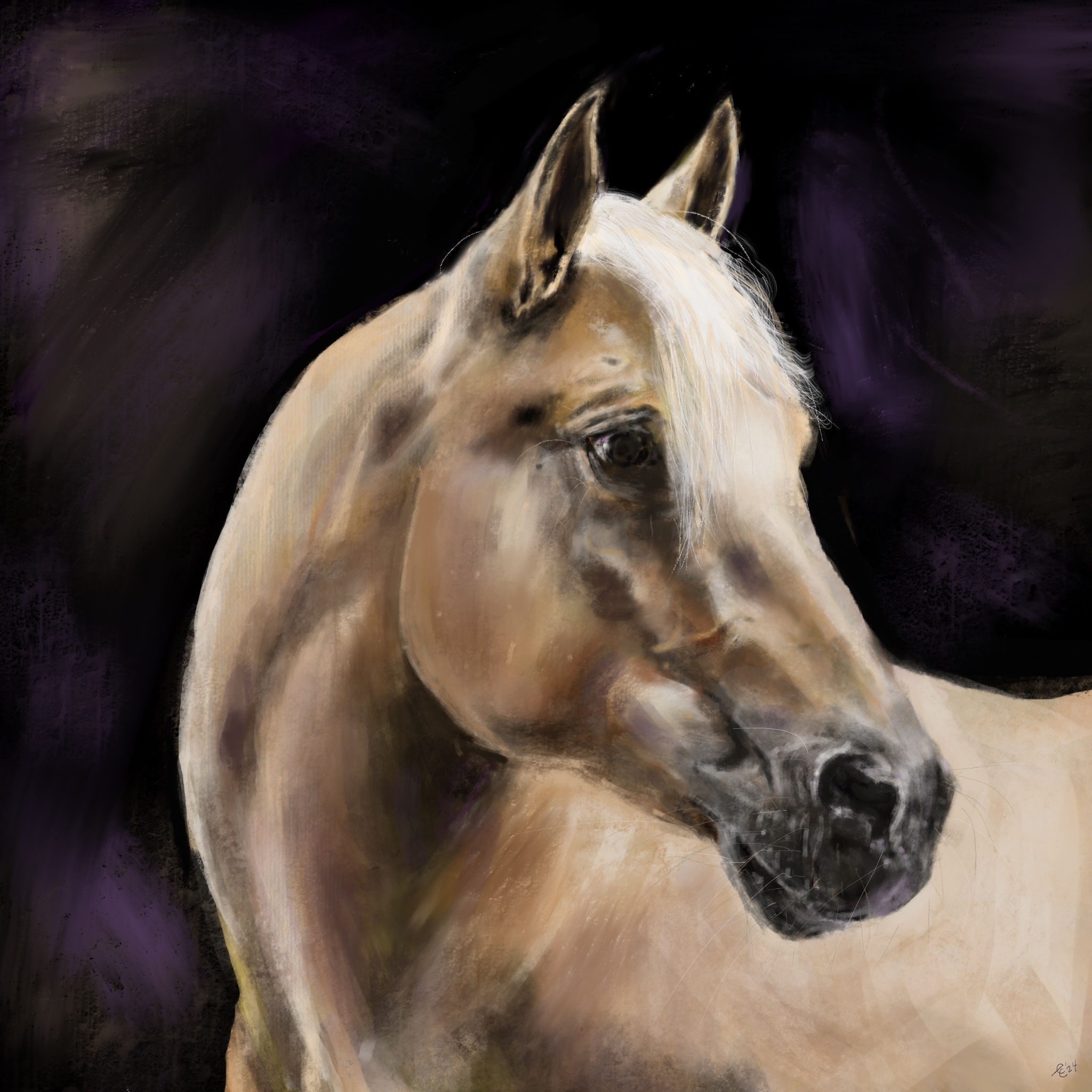 Equestrian decor, palomino.