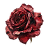 PNG_(37).png