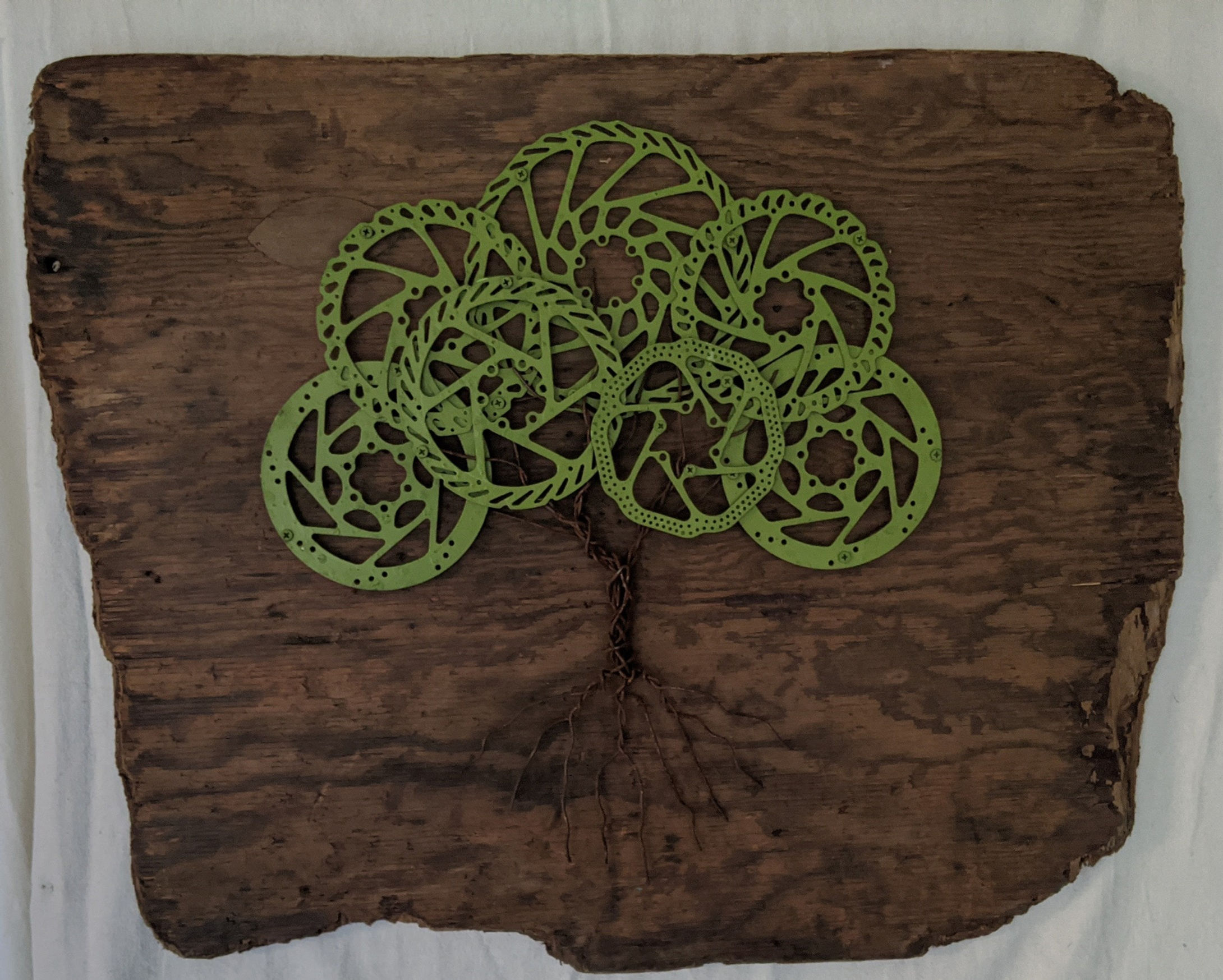 Recycled materials art tree disc brakes driftwood green growth adrift