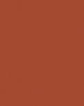 2 Wildly Rooted Texture Document.png