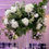 Thumbnail: Flower centerpieces