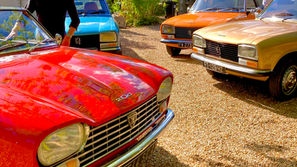 Une passion pour les Peugeot 204 et 304