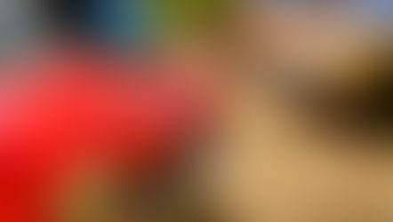 Une passion pour les Peugeot 204 et 304