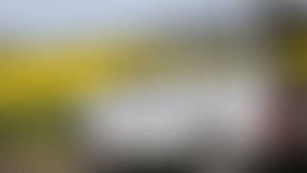 Voitures anciennes : vous avez dit polluantes ? Et si c’était faux…