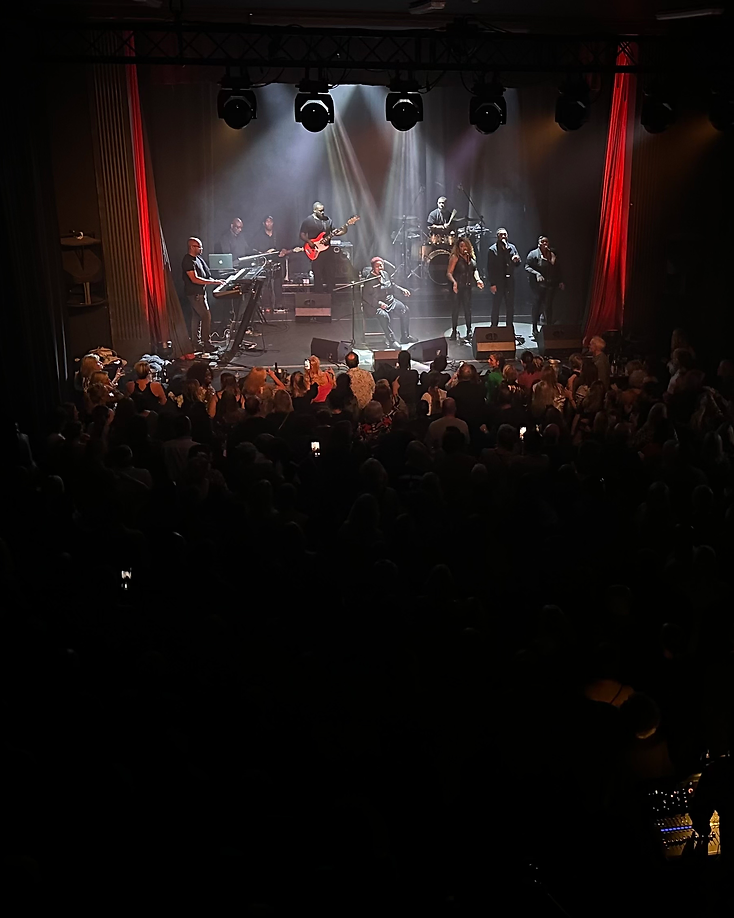 Inside Esher Theatre