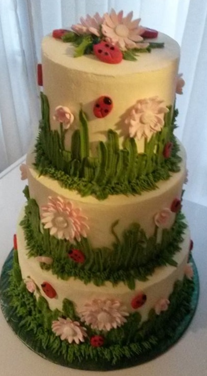 B_Ladybug