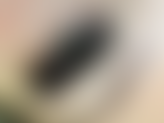 Spring Hill Lash Extensions