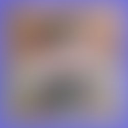 Spring Hill lash lift