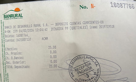 Ejemplo Boleta.jpg